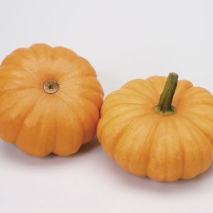 Cucurbita pepo Jack Be Little